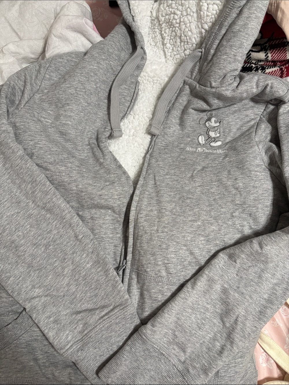 Disney Grey Sherpa-Lined Hoodie Jacket with Character Embroidery
